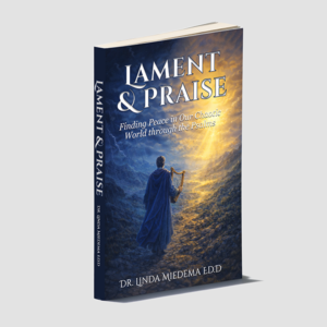 Paperback